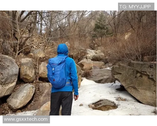 上海攀岩队整体表现分析：压制与失误的双重考量